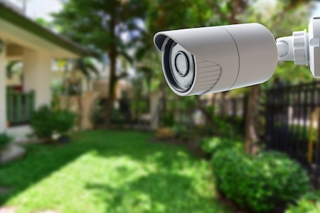 Our Service Cameras